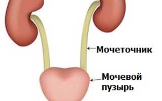 Центр урологии и лечения простатита