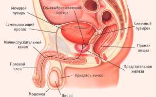 Специализация по урологию и андрологии